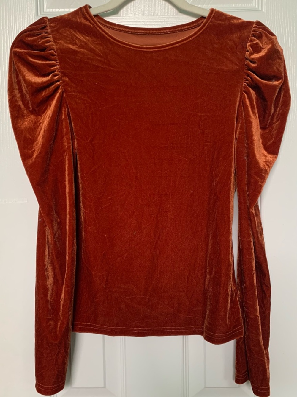 Rust Velvet Puff-Sleeve Women's Top